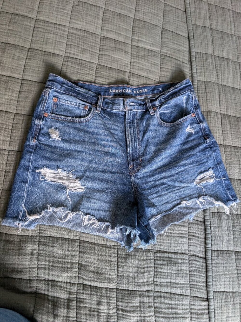 American Eagle 90s Boyfriend Shorts